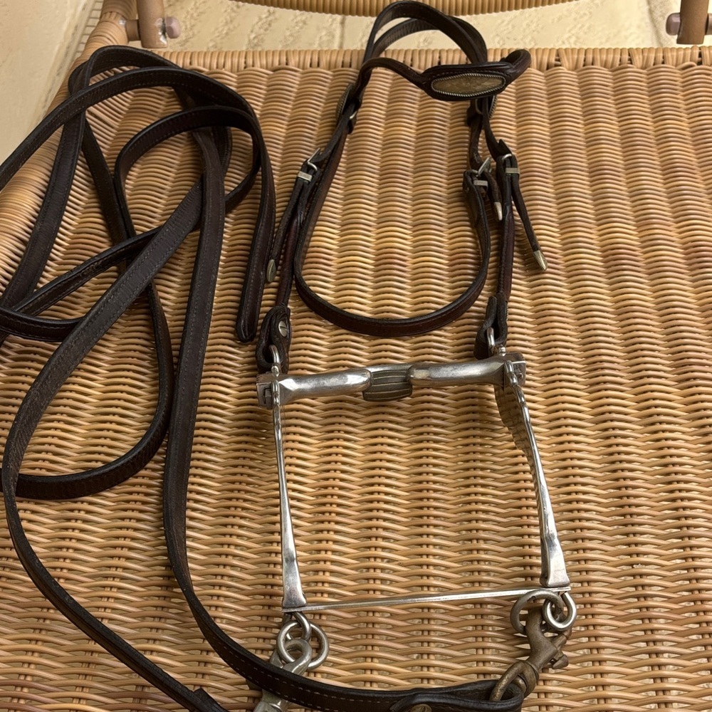 Show Leather Horse Bridle with 5inch Sliester Steel Bit - with silver accents